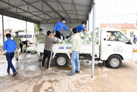 Đoàn thanh niên Công ty hỗ trợ bà con vận chuyển nông sản