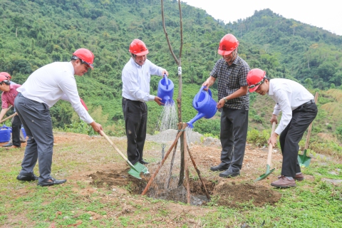 Lãnh đạo tỉnh Quảng Nam, Tổng công ty Phát điện 2 và AVC trồng cây phát động tại Khuôn viên Nhà máy Thủy điện A Vương