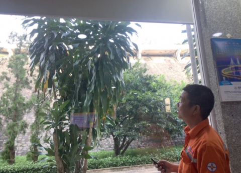 TMP sử dụng năng lượng tiết kiệm và hiệu quả