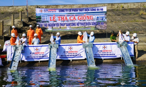 Thủy điện Sông Ba Hạ thả cá giống tái tạo nguồn lợi thủy sản