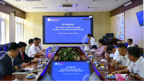 TMP kiện toàn chức danh Phó Tổng giám đốc, nâng cao năng lực điều hành trong giai đoạn mới