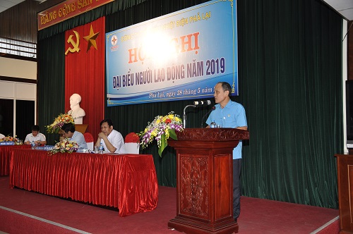 hinh 2plai