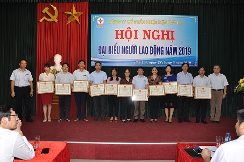 hinh 3 plai