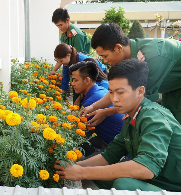 bibinh5