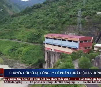 Công tác chuyển đổi số tại Công ty Cổ phần Thủy điện A Vương