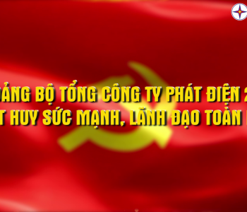 ĐẢNG BỘ TỔNG CÔNG TY PHÁT ĐIỆN 2 – PHÁT HUY SỨC MẠNH, LÃNH ĐẠO TOÀN DIỆN